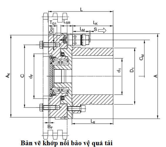 Khớp nối bảo vệ quá tải  TSchan (Germany)